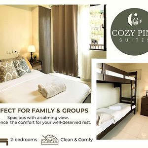 Cozy Pine Suites